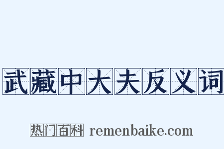 武藏中大夫反义词是什么意思的图片